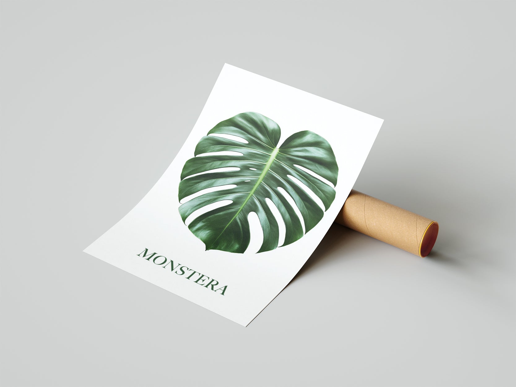 MONSTERA - תמונות לבית, לסלון ולמשרד