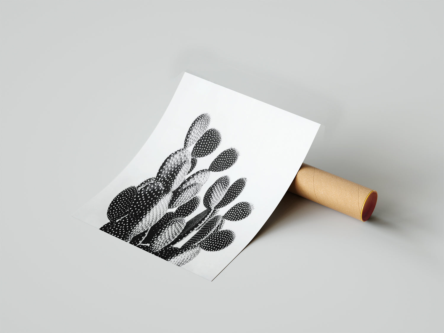 Black and White Cactus - תמונות לבית, לסלון ולמשרד