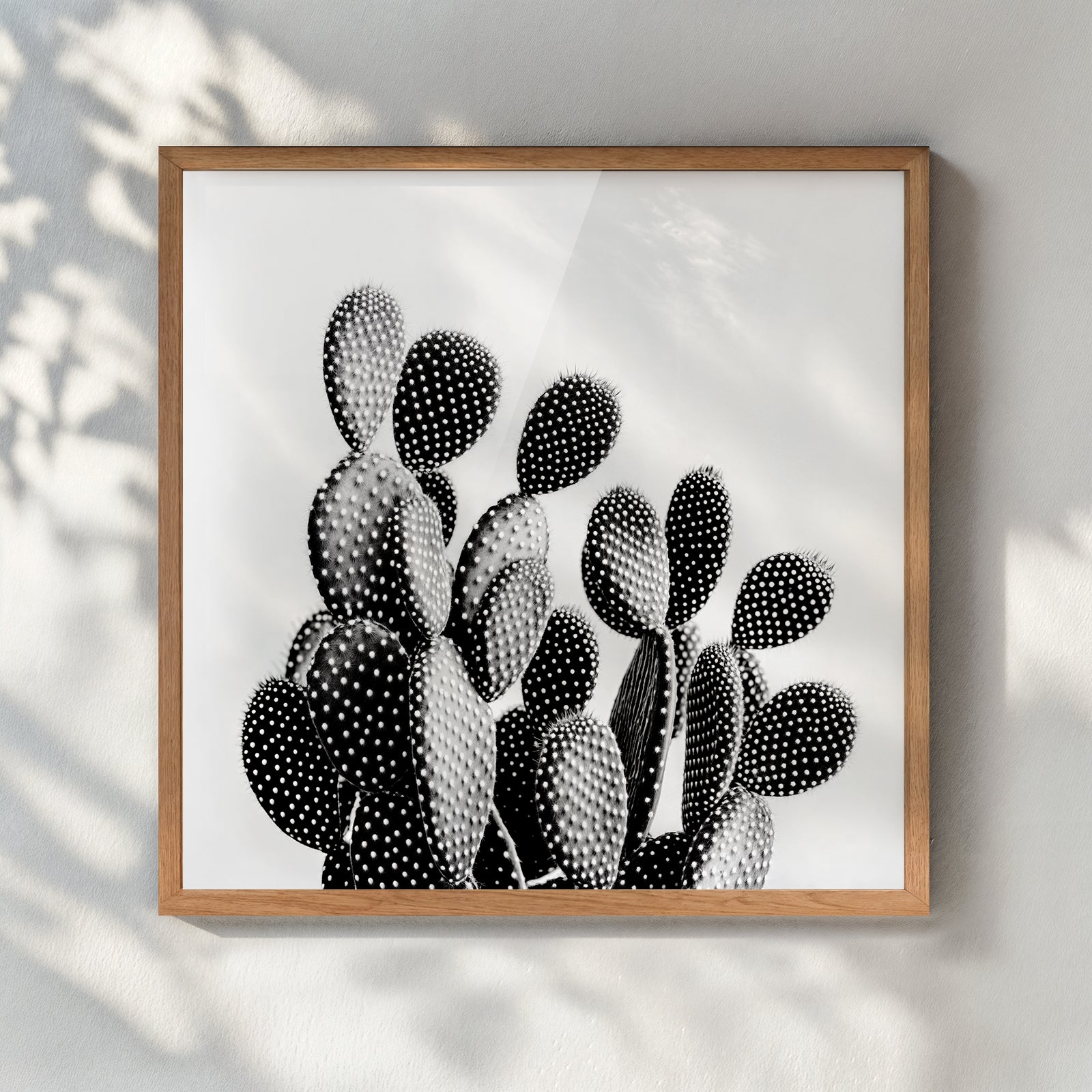 Black and White Cactus - תמונות לבית, לסלון ולמשרד
