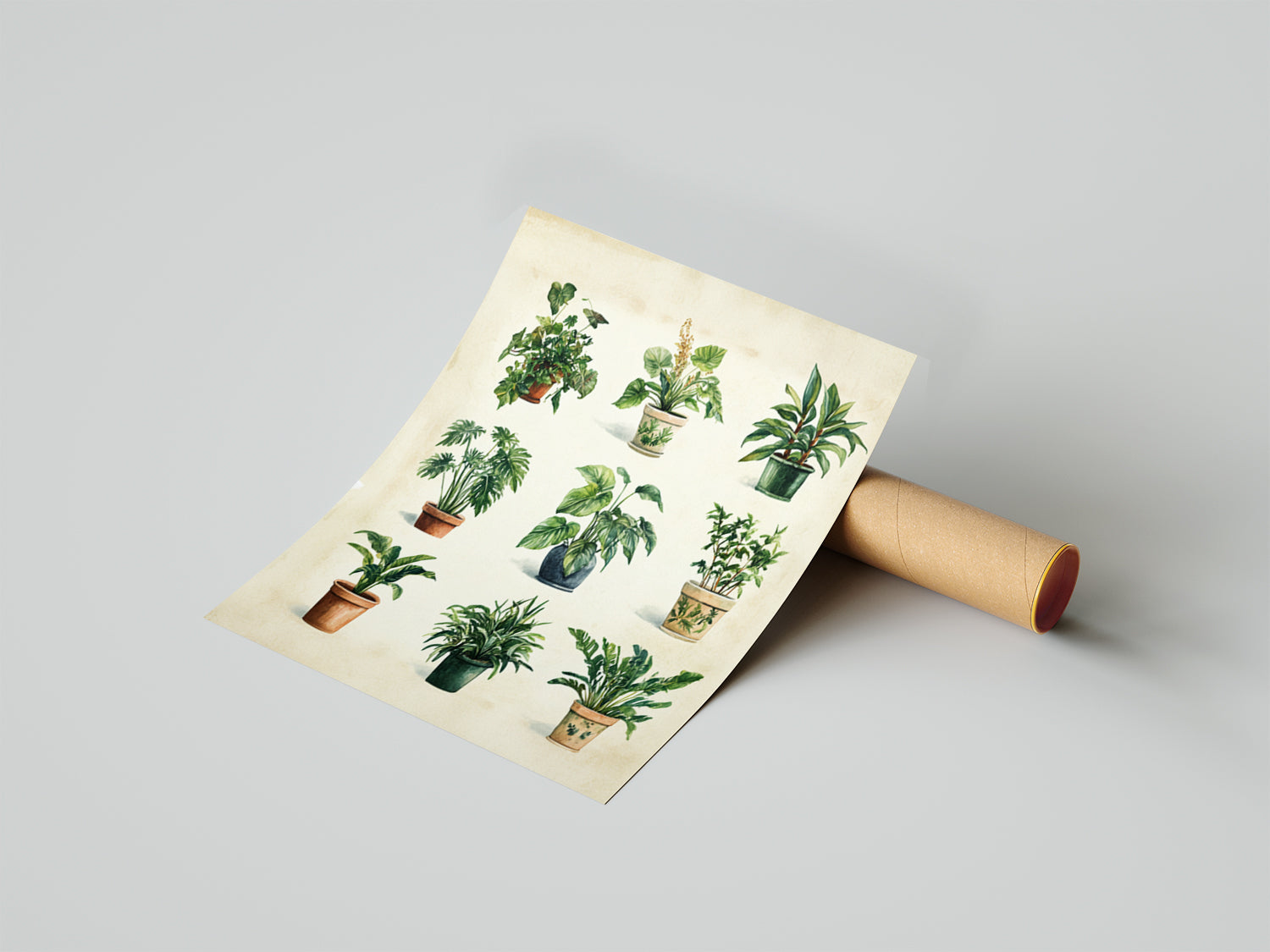 House Plants - תמונות לבית, לסלון ולמשרד