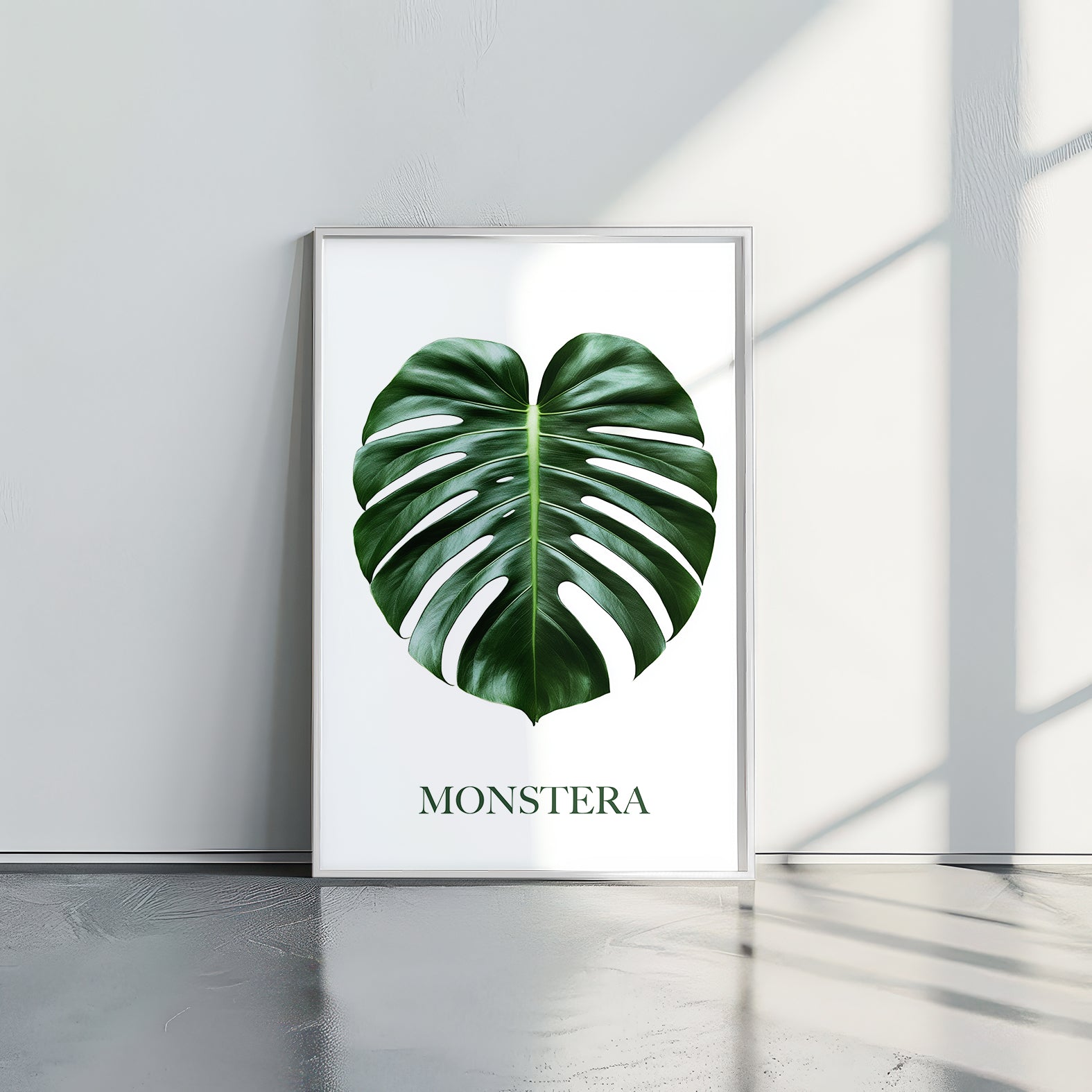 MONSTERA - תמונות לבית, לסלון ולמשרד