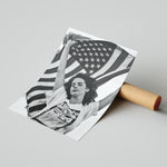 Lana Del Rey AMERICA