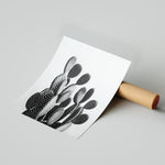 Black and White Cactus - תמונות לבית, לסלון ולמשרד