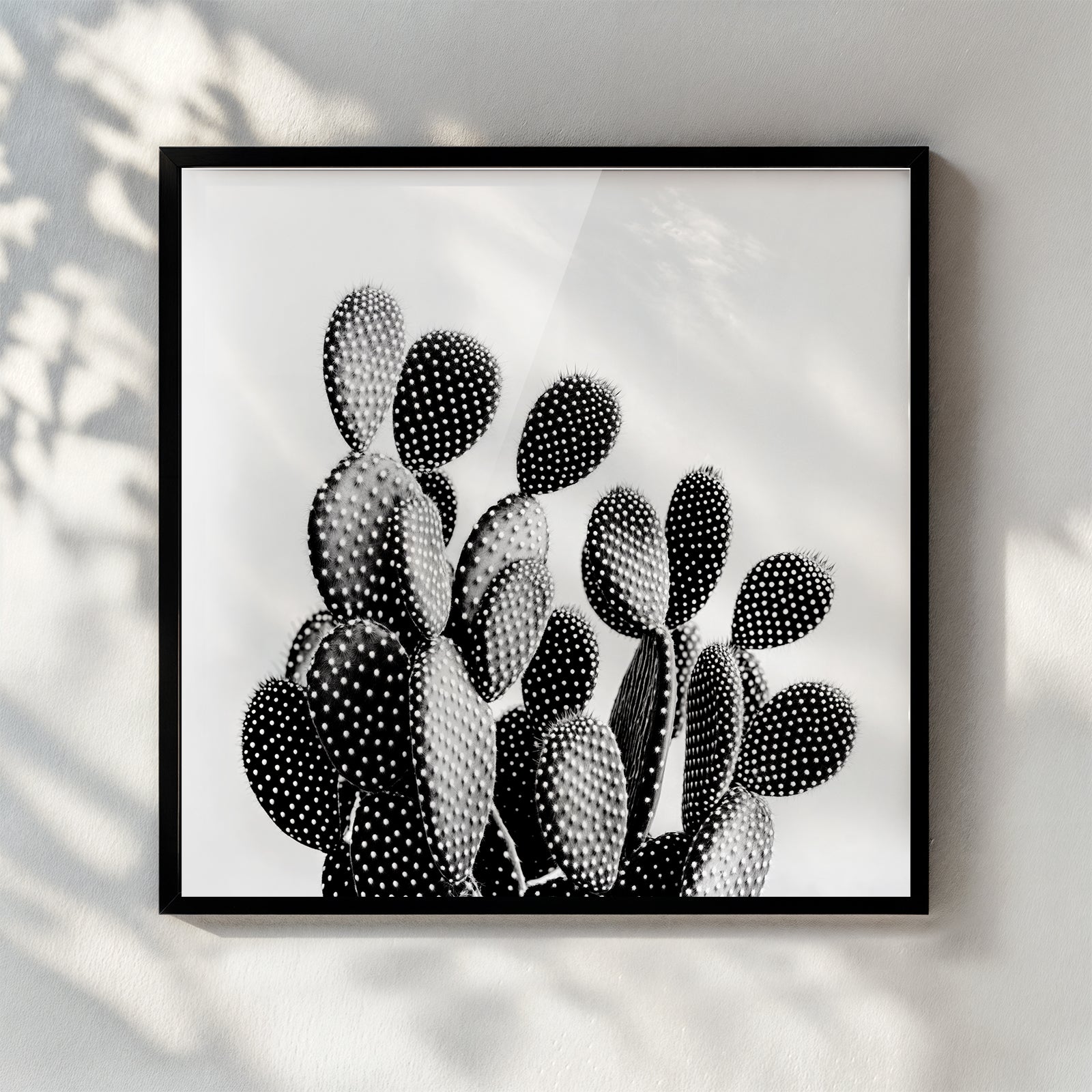 Black and White Cactus - תמונות לבית, לסלון ולמשרד