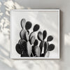 Black and White Cactus - תמונות לבית, לסלון ולמשרד