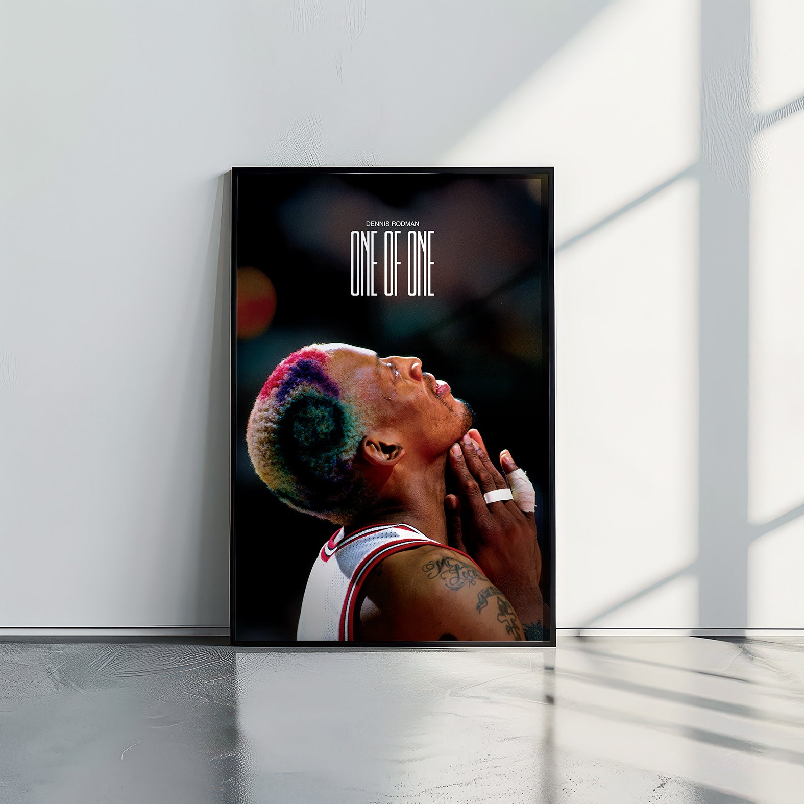 Dennis Rodman One of One - תמונות לבית, לסלון ולמשרד