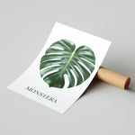 MONSTERA - תמונות לבית, לסלון ולמשרד