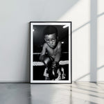 Natural Fighter - תמונות לבית, לסלון ולמשרד