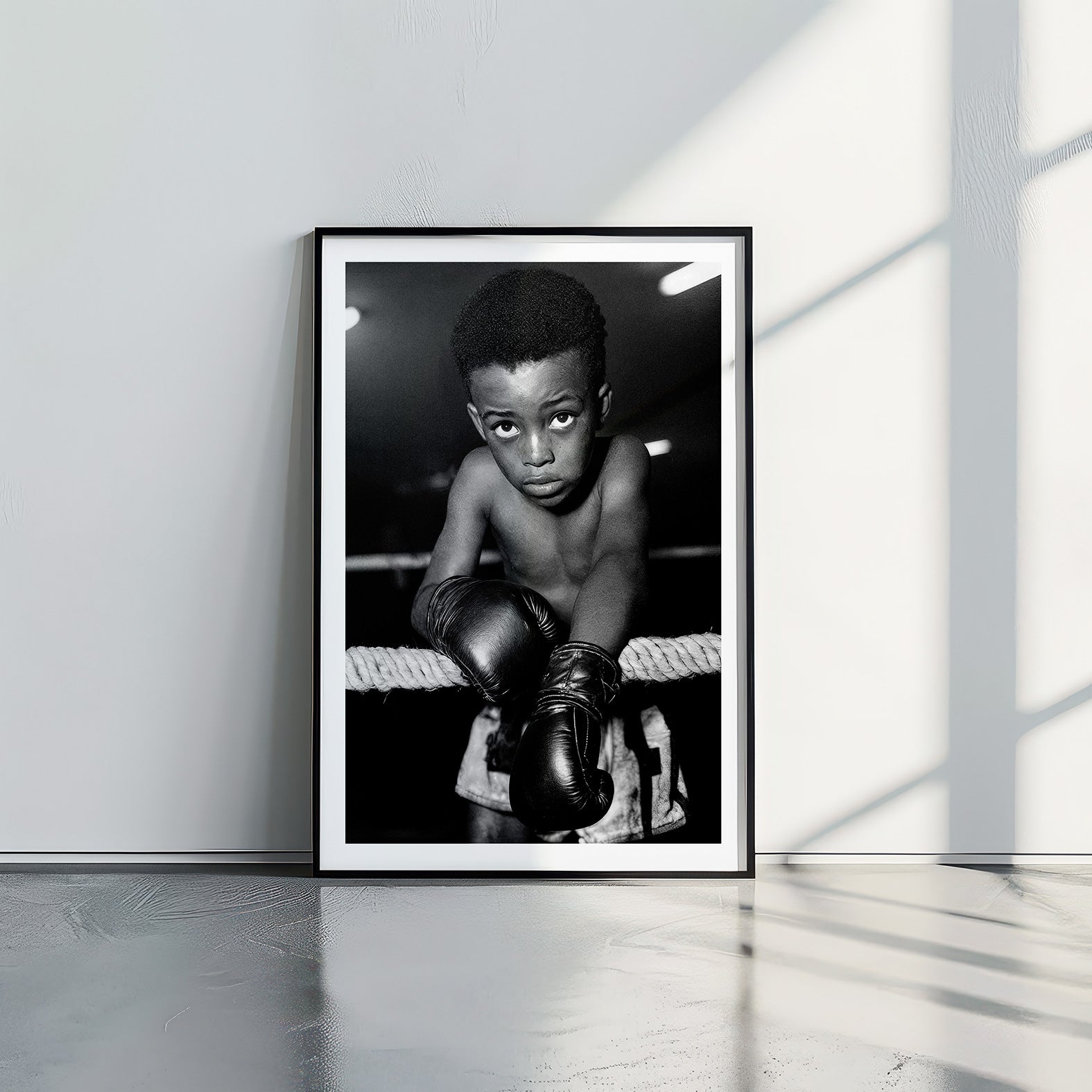 Natural Fighter - תמונות לבית, לסלון ולמשרד