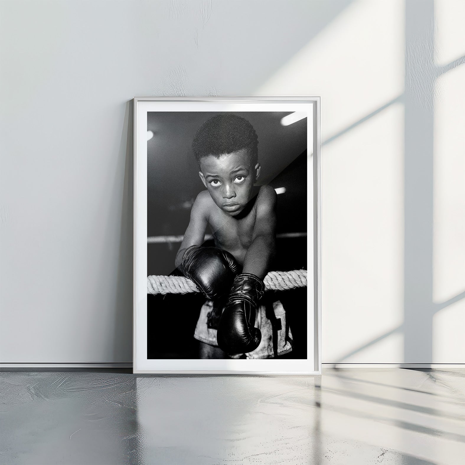 Natural Fighter - תמונות לבית, לסלון ולמשרד