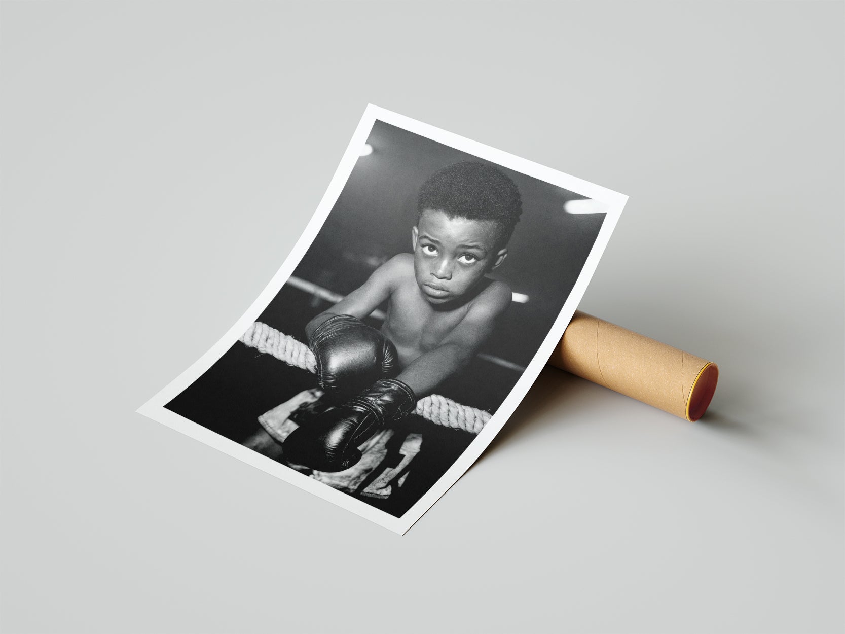 Natural Fighter - תמונות לבית, לסלון ולמשרד