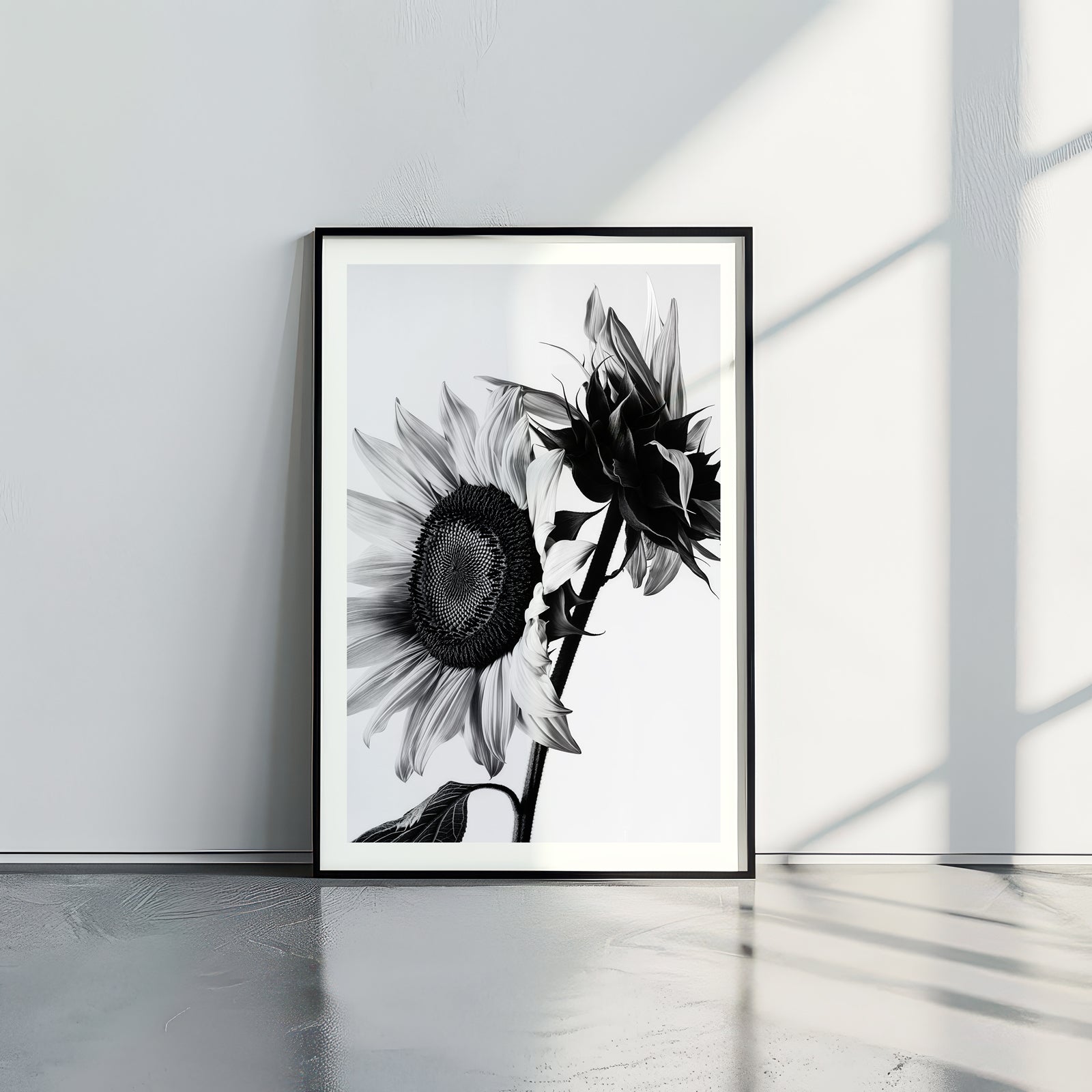 Sunflowers B&W - תמונות לבית, לסלון ולמשרד