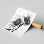 Sunflowers B&W - תמונות לבית, לסלון ולמשרד