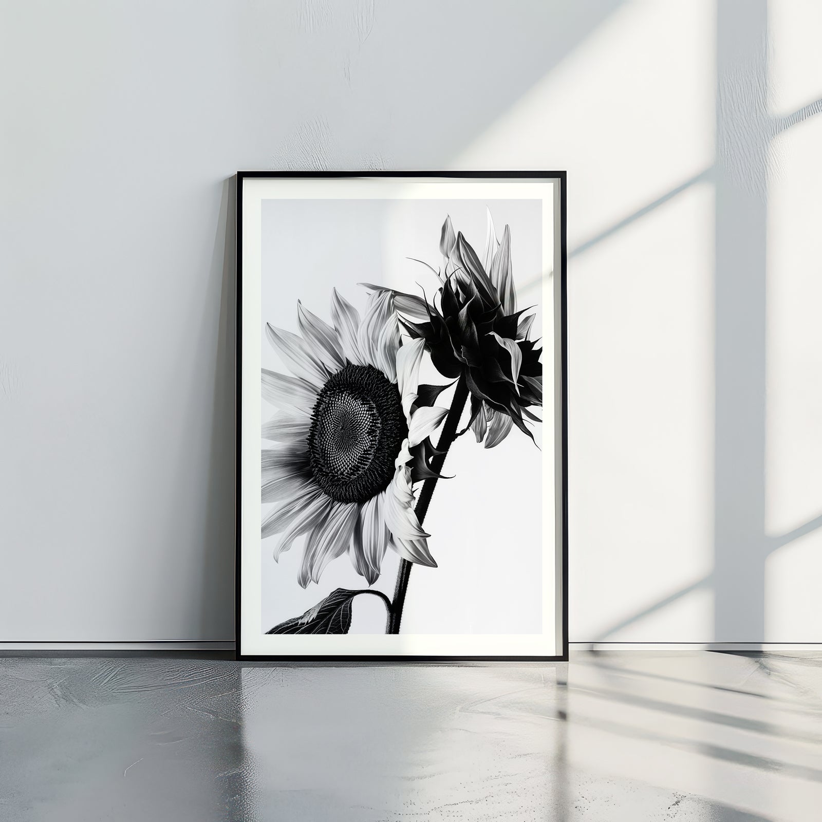 Sunflowers B&W